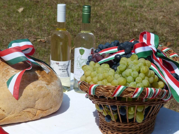 Alföldi kenyér, szőlő és bor Konferencia Kecskemét, 2024. 08 23.